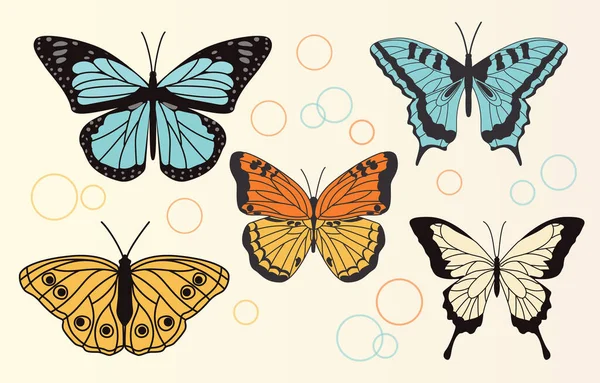 Conjunto de mariposas realistas — Vector de stock