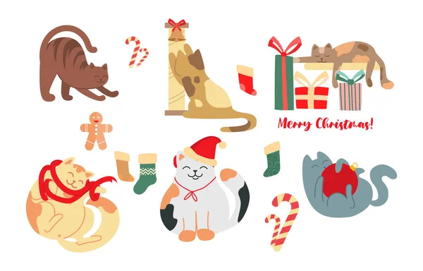 Karácsonyi macskák gyűjteménye — Stock Vector