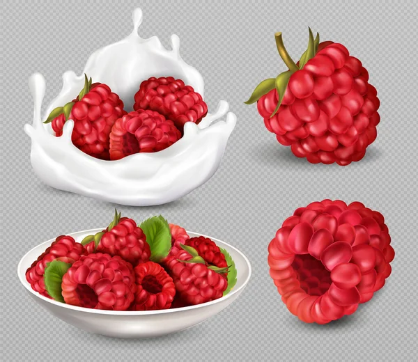 Niedliches Set mit Himbeeren und Blättern auf transparentem Hintergrund — Stockvektor