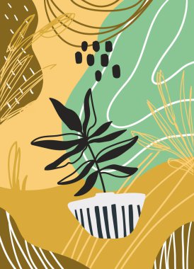 Özet saksı bitkisi