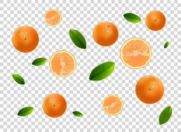 Layout com laranjas em queda — Vetor de Stock