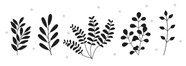 收集植物的黑暗轮廓 — 图库矢量图片