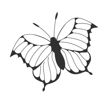 Siyah ve beyaz kelebek biçiminde kalın kanat hatları ve basit şekilleri var. Beyaz arka planda minimal grafik tarzı var. Zarafet ve dönüşüm kavramı. Vektör illüstrasyonu