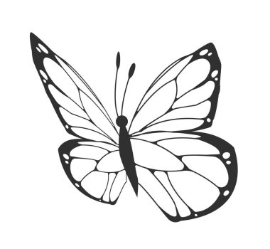 Beyaz arka planda temiz siyah çizgili ayrıntılı kanatları olan stilize siyah kelebek. Doğa, dövme veya dekoratif tasarım temaları için vektör illüstrasyonu