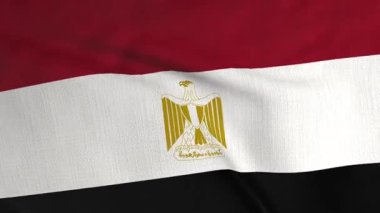 Mısır Bayrağı dokusu. Mısır bayrağını sallayan tam ekran video. Vatanseverlik ve spor etkinlikleri için kusursuz bir tasarım. 3B canlandırma döngüsü canlandırılmış arkaplan