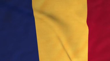 Romanya Bayrak Dokusu. Rüzgarda dalgalanan Avrupa ülkesinin tam ekran kumaş bayrağının kusursuz videosu. Romanya spor ve vatanseverlik etkinlikleri için hareket tasarımı. 3B canlandırma döngüsü canlandırılmış arkaplan