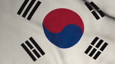 Güney Kore Bayrak Dokusu. Güney Kore bayrağının rüzgârda dalgalandığı kusursuz bir video. Vatanseverlik ve spor etkinlikleri için tasarlandı. 3B canlandırma döngüsü canlandırılmış arkaplan