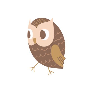 Tatlı yürüyen baykuş.