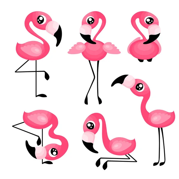 Roztomilý karikatura flamingo set — Stockový vektor