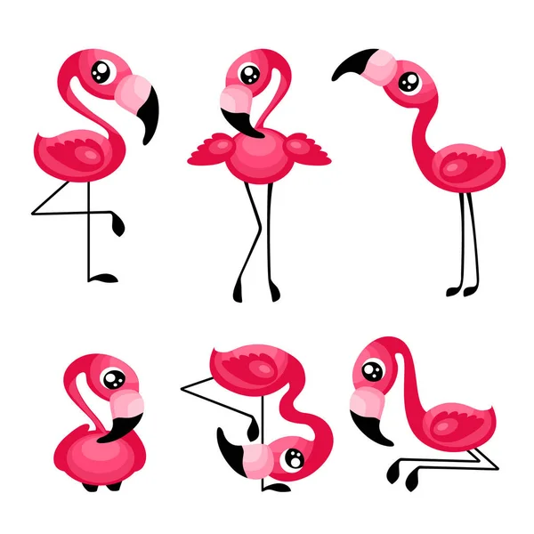 Roztomilý karikatura flamingo set — Stockový vektor