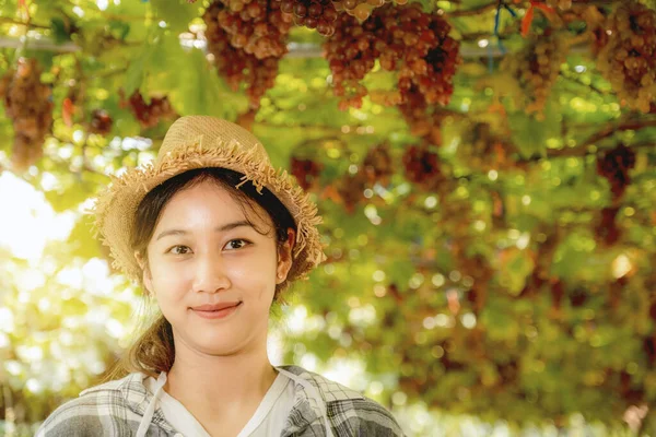 若いアジアの農家の女性はブドウ畑でブドウを収穫します — ストック写真