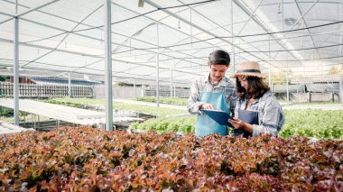 2 Çiftçi sebze organik salatasının kalitesini ve hidroponik çiftlikteki marulları inceler ve müşterilere en iyi ürünü vermek için panoya not alır..