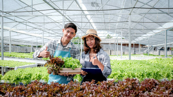 2 Фермер проверить качество овощного органического салата и салата с гидропонной фермы и делать заметки в буфер обмена, чтобы дать клиентам лучший продукт.