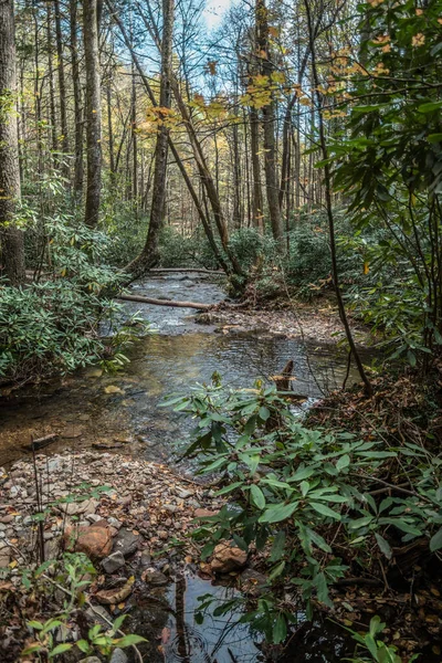 Dodds Kreek Stroomt Door Bossen Het Noorden Georgia Bergen Met — Stockfoto