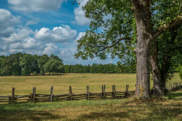 夏天阳光灿烂的日子里 佐治亚州乡间小路上的一片景象 草地上 长满了大树 篱笆生生生不息 生机勃勃 生机勃勃 生机勃勃 — 图库照片