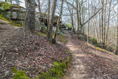 Gürcistan 'daki Cherokee Bluffs parkının kayalık arazisindeki patikaya tırmanırken yere dökülen yapraklar ve güneşli bir kış günü kayaların ve etrafındaki ağaçların üzerindeki parlak liken