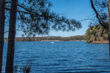 Kıyı şeridinde durup ağaçların arasından göldeki tekneden balıkçı teknesine bakan arka planda tekne rampaları olan açık, güneşli bir sonbahar gününde parktaki bir adama bakıyorum.