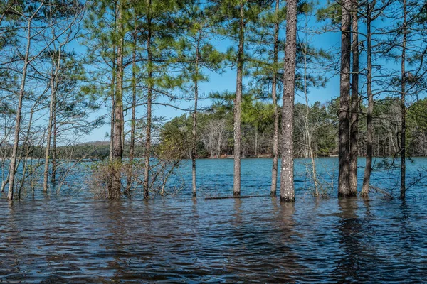 Submerged parking lot with trees and the shoreline underwater at Lake Lanier flooding due to heavy rains