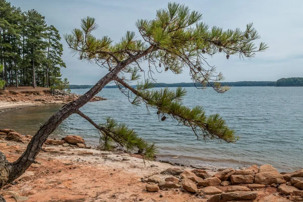 Dürrebedingungen Die Eine Felsige Küste Verursachen Der Einem Sonnigen Herbsttag — Stockfoto