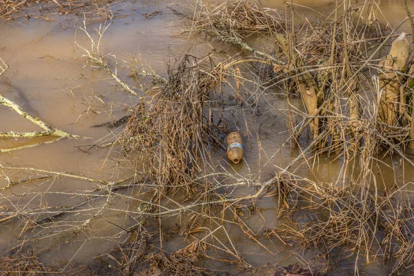 冬の晴れた日に環境を汚染する浅い水の草や枝に沿って浮遊湿地水に捨てられた汚れた空のプラスチック飲料ボトル — ストック写真