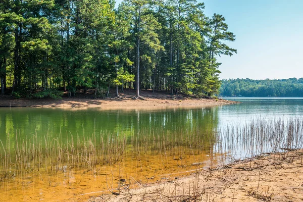 Dürrebedingungen Lanier See Georgien Mit Niedrigen Wasserständen Die Baumwurzeln Und — Stockfoto