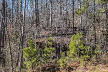 Eski ahşap bir kulübe. Paslı metal çatılı. Ağaçlarla çevrili. Ağaçlar terk edilmiş ve kışın güneşli bir günde dökülüyor.