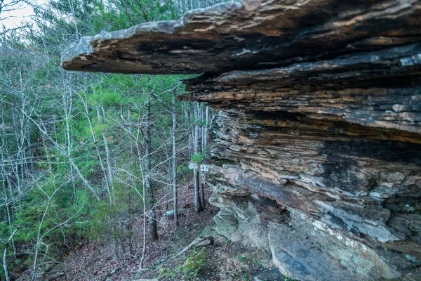 春のテネシーの山々の夕暮れ時に 層状の岩壁に沿って森の中に下にハイキング — ストック写真