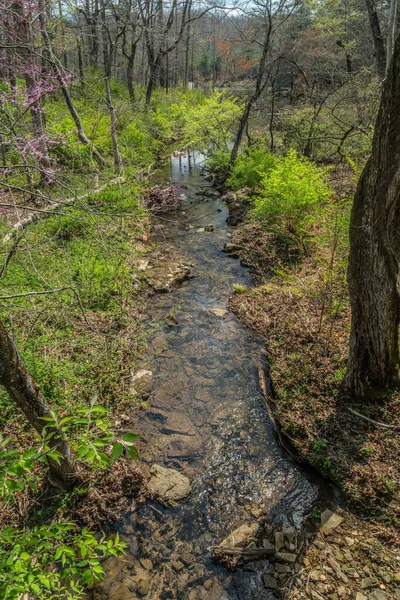 清らかな水の流れで橋から見下ろすと 春の晴れた日に森に囲まれた底の岩や岩との距離で湖に流れ込む — ストック写真