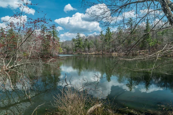 Cenário Deslumbrante Lago Byrd Centro Tennessee Início Primavera Com Árvores — Fotografia de Stock