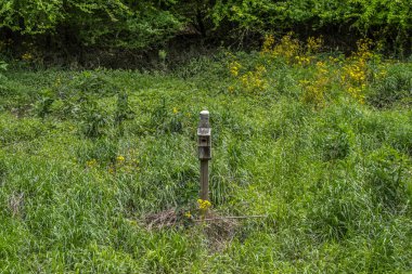 Baharın güneşli bir gününde arka planda kır çiçekleri ve ağaçlıklar olan parktaki çim tarlasının ortasında tek başına büyük bir kuş evi.