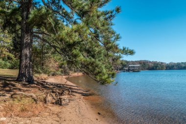 Göl kıyısı boyunca kumsal bölgesinde büyük bir çam ağacı ve sonbaharda güneşli bir günde demirlemiş çeşitli tipte teknelerle dolu bir çift yüzen rıhtım.