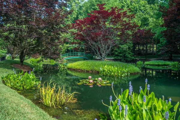 Ball Ground Georgia Verenigde Staten Juni 2018 Een Prachtige Watertuin — Stockfoto