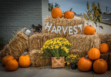 Sonbahar gösterimi bir çiftçi pazarının girişinde sonbahar ürünleri satışı için bir hasat temalı.