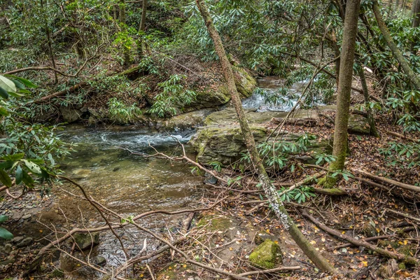 Rio Montanha Cascata Pelas Rochas Pedregulhos Com Pequenas Cachoeiras Árvores — Fotografia de Stock