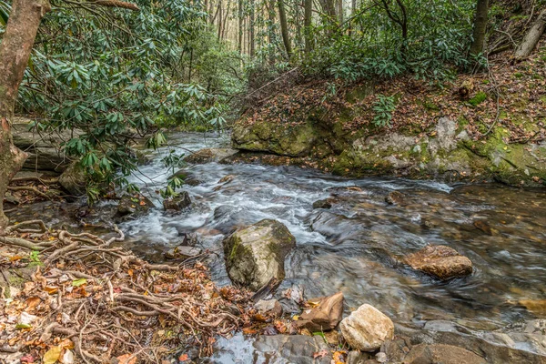 岩や岩の周りを流れる川の景色秋の晴れた日に水に沿って公開されたツリーからツイスト根と長い露出 — ストック写真