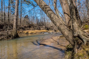 Sığ bir dere, kışın sonlarında güneşli bir günde çıplak ağaçlarla dolu kumlu bir kıyı şeridi ve su yüzeyinde ağaç gölgeleri olan kayaların üzerinden akıyor.