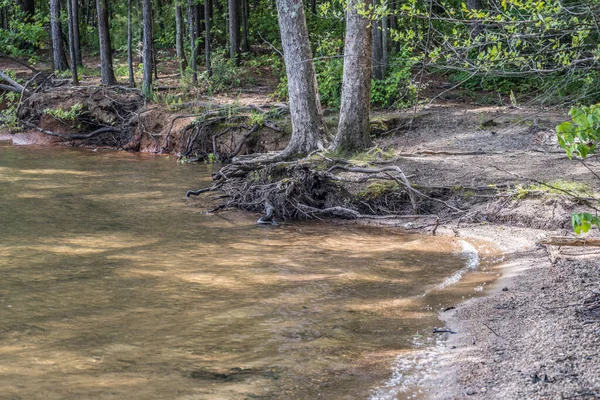 春の終わりにトレイルに沿って木の根を公開する低水位で湖での深刻な浸食 — ストック写真