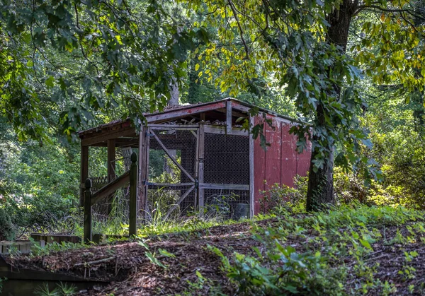 Pequena Estrutura Vermelha Galinheiro Deixado Abandonado Floresta Apodrecendo Resistido Não — Fotografia de Stock