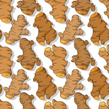 Zerdeçal kökleri tekrarlanan kalıp, düzenlenebilir vektör şablonu