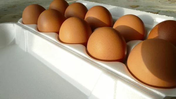 Chicken Eggs Tray — Stock Photo, Image