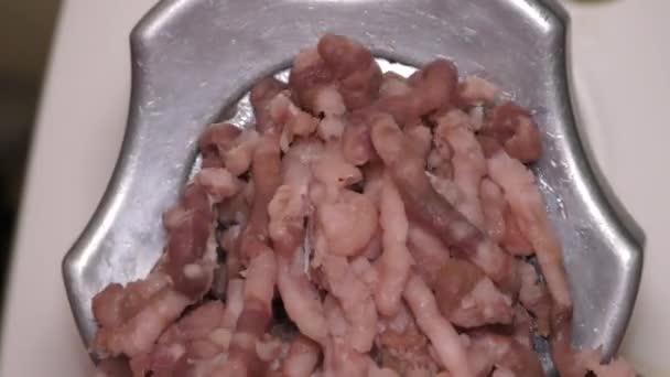 肉磨机磨碎生肉 — 图库视频影像