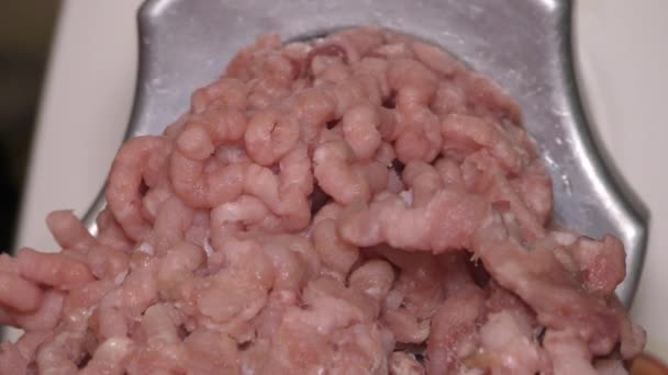 肉磨机磨碎生肉 — 图库视频影像