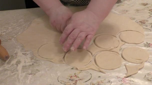 厨师用土豆做饺子 健康食品概念 — 图库视频影像