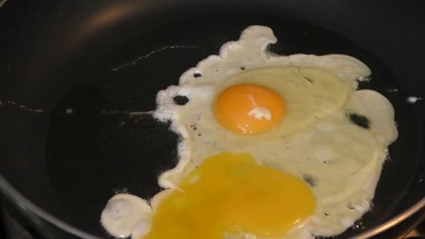 Los Huevos Pollo Fríen Una Sartén Concepto Alimentos Saludables — Vídeo de stock
