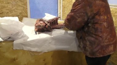 Adamın biri donmuş geyik leşini kesiyor.