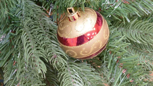 Hangt Speelgoed Aan Kerstboom — Stockfoto