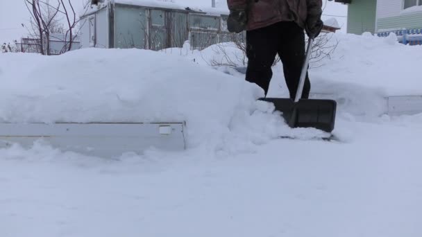 Pessoas Rua Removem Neve Com Pás — Vídeo de Stock