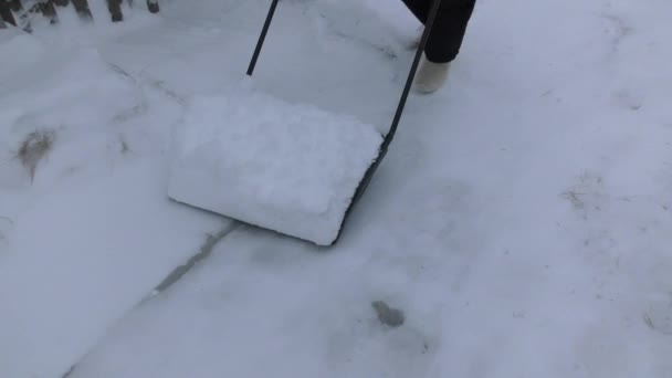 道路の人々はシャベルで雪を取り除き — ストック動画