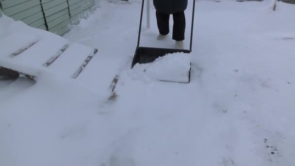 道路の人々はシャベルで雪を取り除き — ストック動画