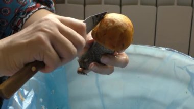 Bir kadın mantarları bıçakla temizler. sağlıklı gıda konsepti